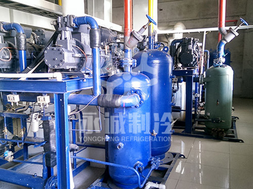 山東藍(lán)潤水產(chǎn)有限公司金槍魚-55度超低溫庫