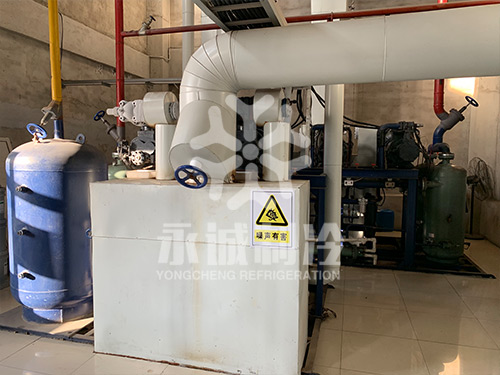 山東藍(lán)潤水產(chǎn)有限公司海產(chǎn)品-20度冷藏庫